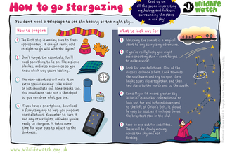 How to go stargazing