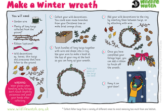 Winter wreath