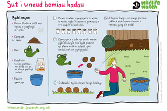 SEED-BOMBS_Cymraeg.png