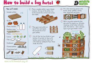 How to build a bug hotel