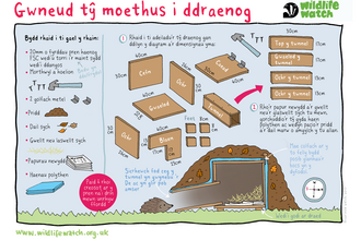 How to make a hedgehog home Welsh