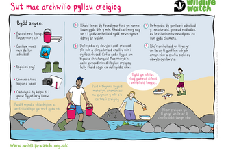 How to go rockpooling (Welsh)