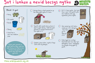 CLEAN-NESTBOXES_(Cymraeg)