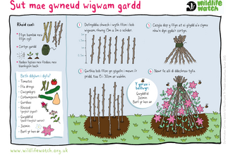 Garden Wigwam_Welsh