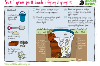 MINI-WILDLIFE-POND_CYMRAEG