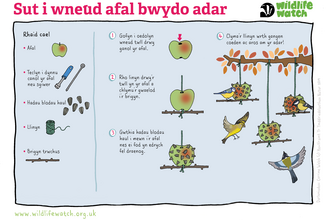 An activity sheet explaining how to make a simple bird feeder out of an apple, in Welsh
