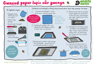 A guide to making beeswax wraps, written in Welsh