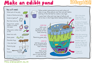 edible pond