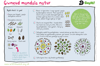 A step by step guide in Welsh of how to create a nature mandala