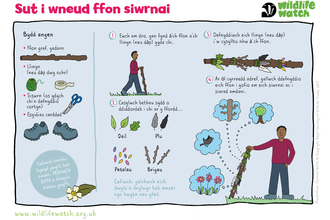 A step by step guide to making a journey stick, in Welsh. The guide shows how to gather natural items on a walk and attach them to a stick to create a memento of your walk