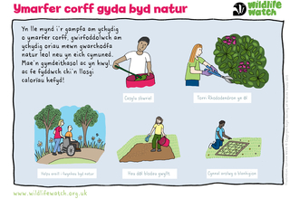 An activity sheet showing how you can garden and walk in nature to stay active