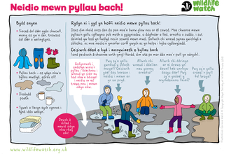 An activity sheet in Welsh showing what you need to jump in puddles!