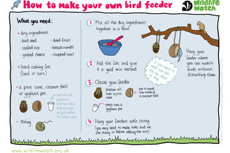 Explanation how to make a bird feeder using suet, seeds and a pine cone, yoghurt pot or coconut shell