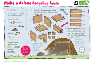 Deluxe hedgehog house