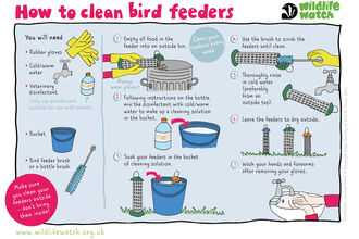 An activity sheet explaining how to clean a bird feeder