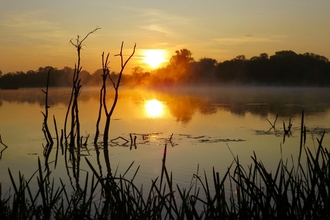 Nene Wetlands