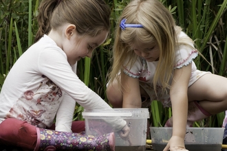 Two children looking excitedly in a container temporarily holding pond water and creatures during a pond dipping session