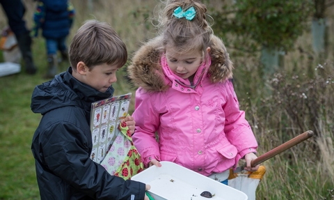 Children pond dipping wildlife trust