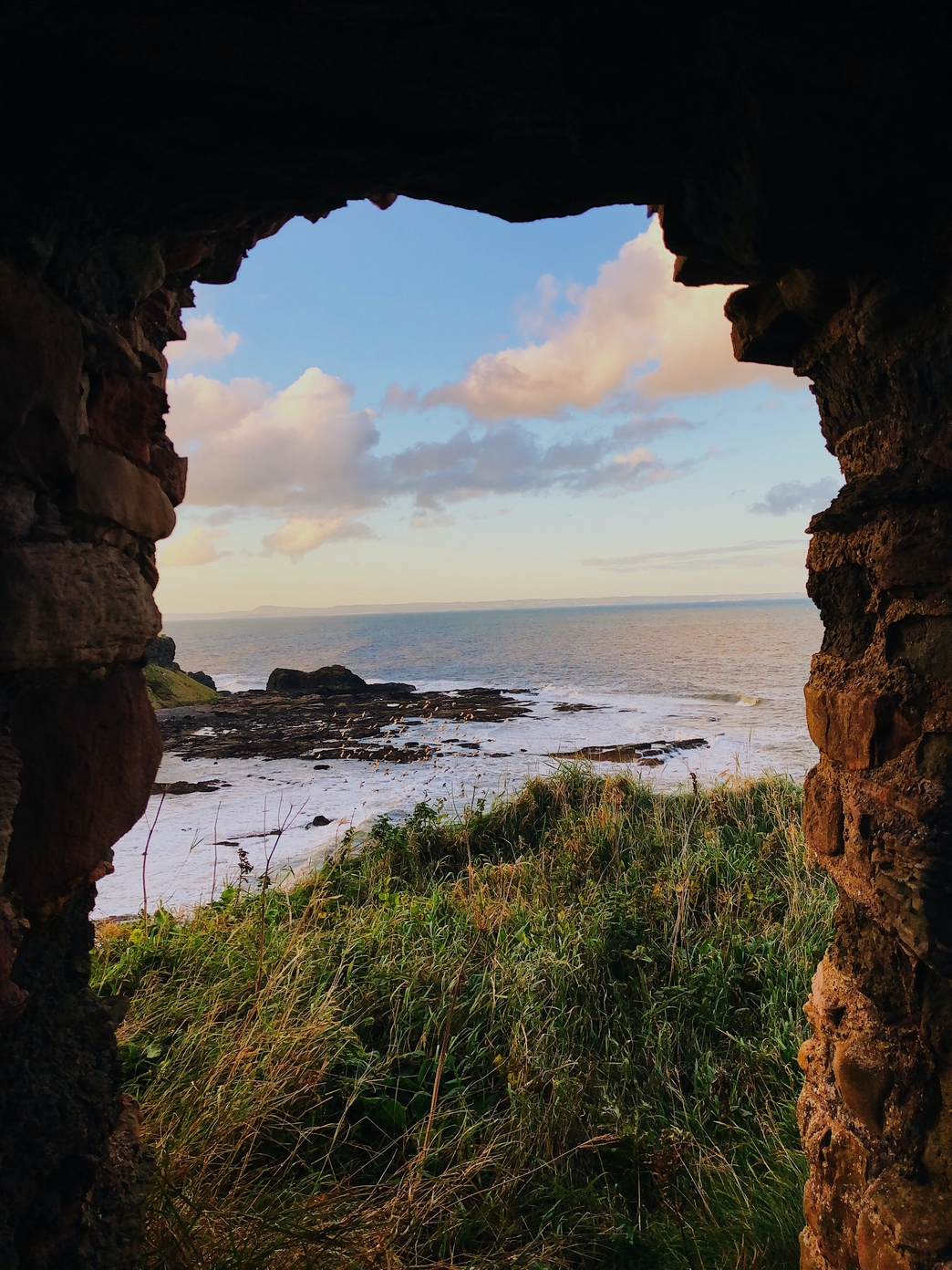 Caves | Wildlife Watch