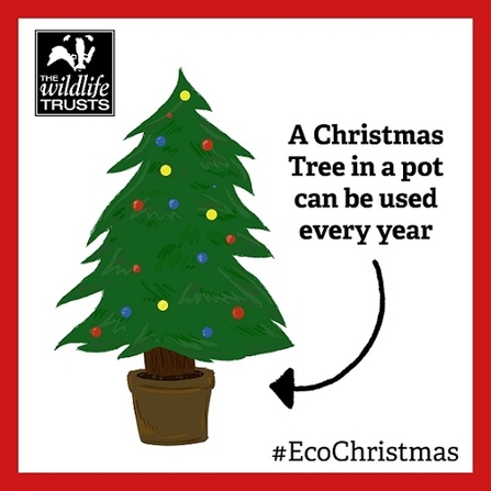 Christmas tree