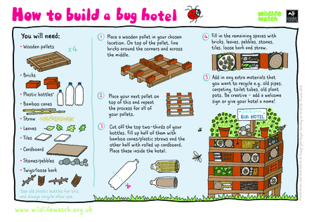 Bug hotel