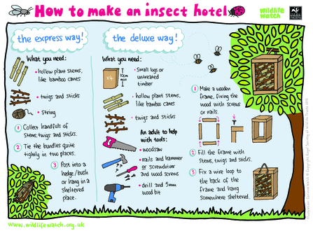 Insect hotel