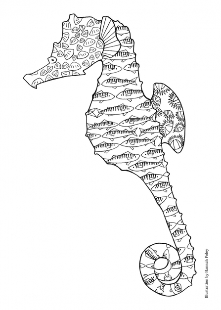 Seahorse