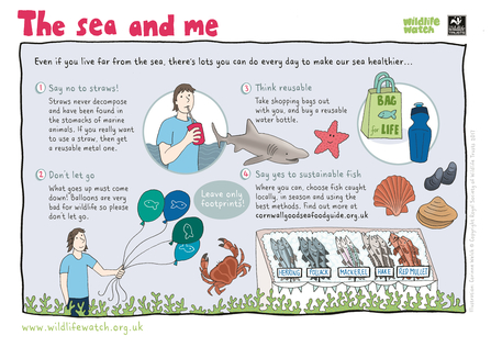 The sea and me