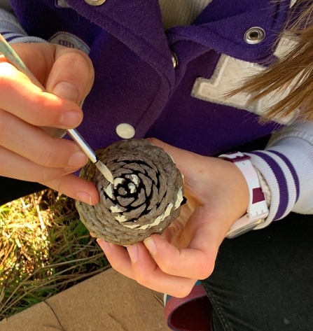 Painting natural spirals in a pine cone