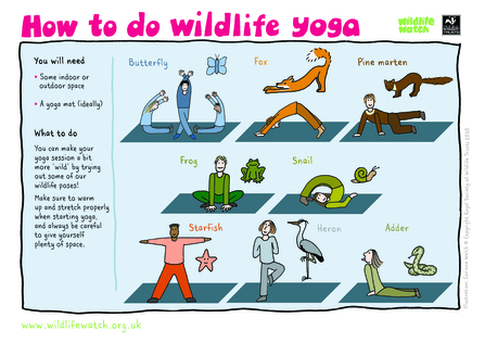 Wildlife yoga