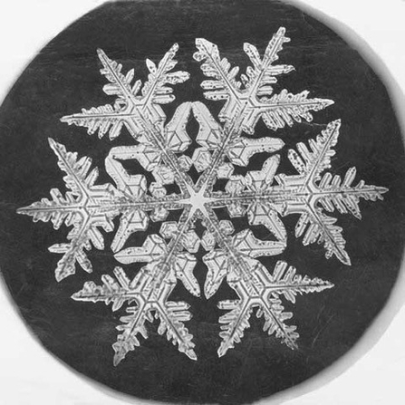 Wilson A Bentley - snowflake 1890