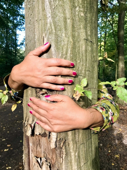 Tree hug