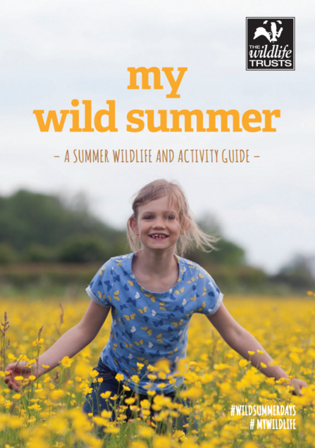 My Wild Summer