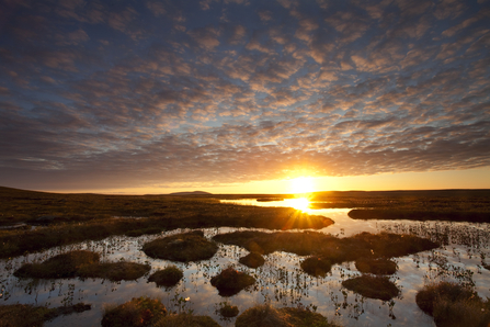 Sun set over a peat bog