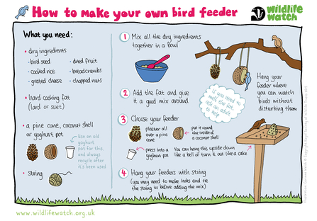 Make your own bird feeder