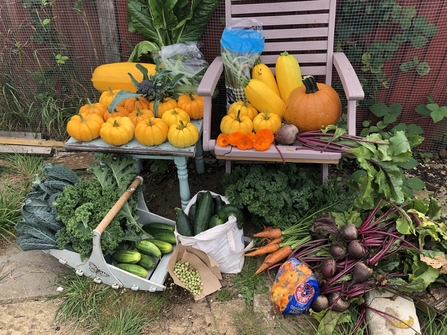 Fruit and veg in boxes surrounding a small table and chair. It's outside in front of a fence.