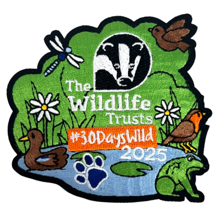 A fabric embroidered badge featuring The Wildlife Trusts' logo #30DaysWild 2025, a pond with a frog and a duck, a robin and a dragonfly.