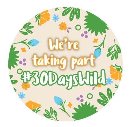 An illustrated circular graphic which says We're taking part #30DaysWild
