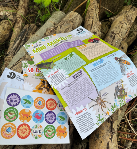 30 Days Wild kids' resources outside on a logpile. Shown are a booklet for grown ups, stickers and an insect factsheet