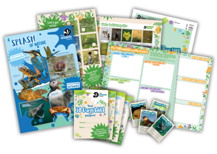 The kids resources for 30 Days Wild including a poster of water-y wildlife like puffins and kingfishers, a progress chart, spotting sheets and trading cards