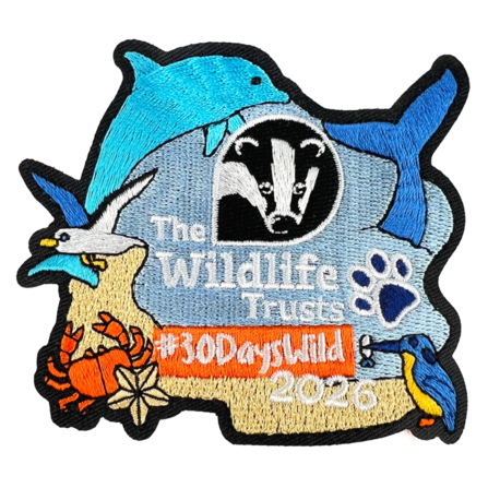 A sew on fabric badge reading The Wildlife Trusts 30 Days Wild 2026, featuring water wildlife, including a gull, dolphin, whale's fluke, kingfisher, starfish and crab