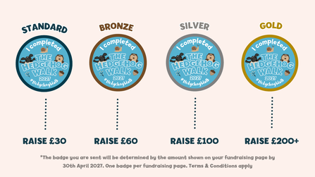Standard, bronze, silver and gold fundraising badges for The Hedgehog Walk 2027