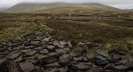 Peat diggings