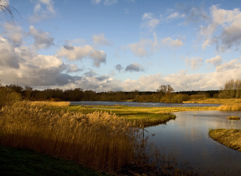 Lackford Lakes