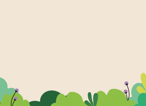 Hedgehog Walk website banner