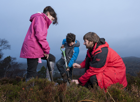 Two children and an adult planting a tree
