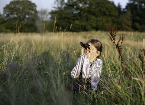 A child in a field of tall grass, looking through a pair of binoculars. Trees are visible behind them lining the field
