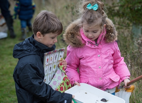Children pond dipping wildlife trust